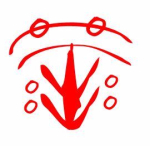 Latter-day sigils (5)
