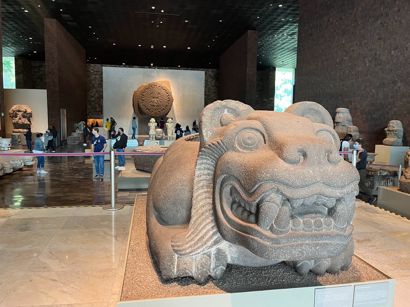 Mexico City and surrounds — photo 5