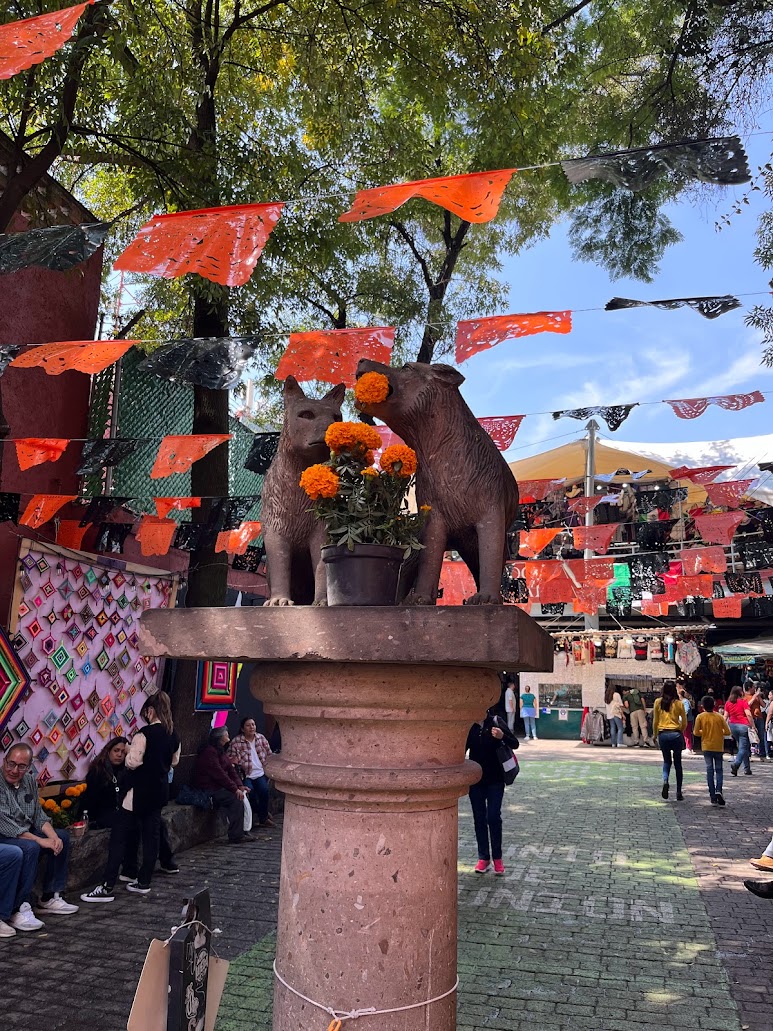 Mexico City and surrounds — photo 8