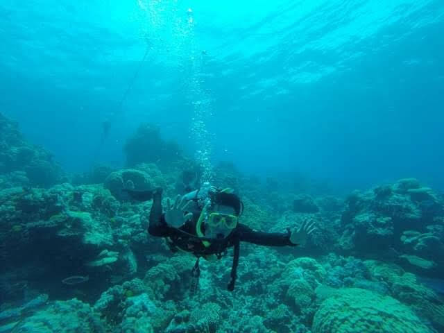 The Great Barrier Reef
