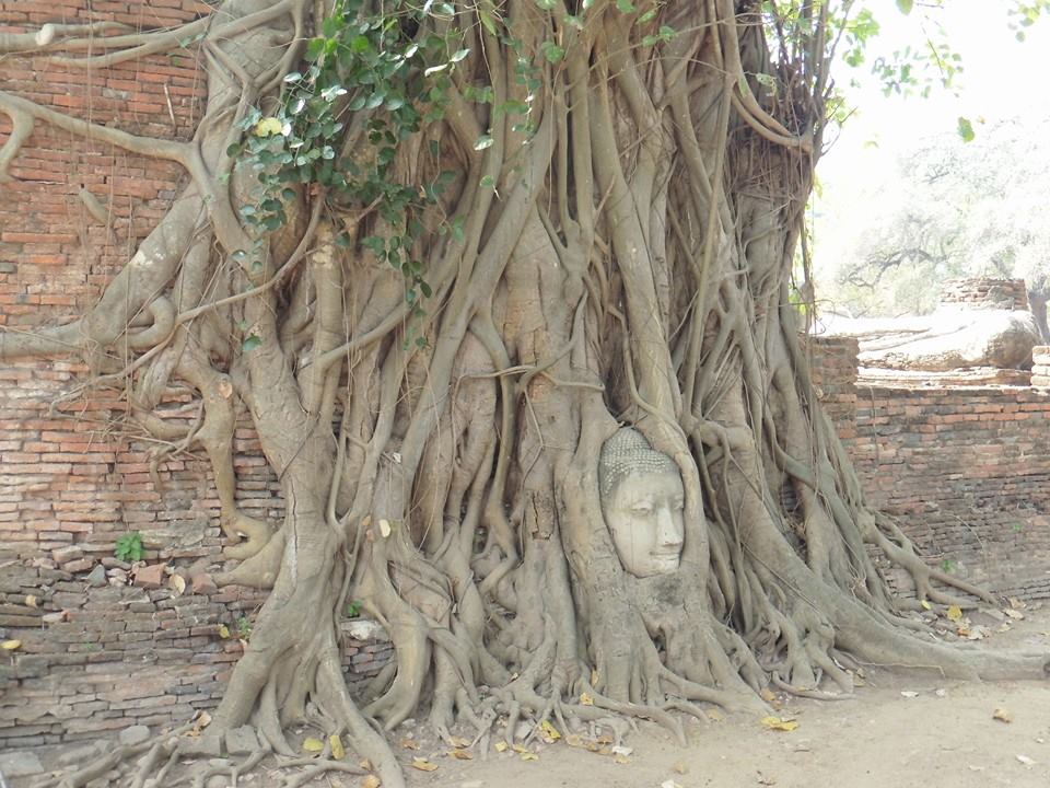 Ayutthaya Historical Park (2015) — photo 5