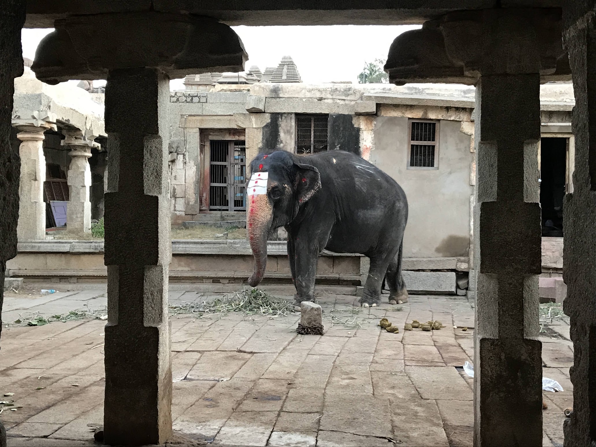 Hampi (2020) — photo 5
