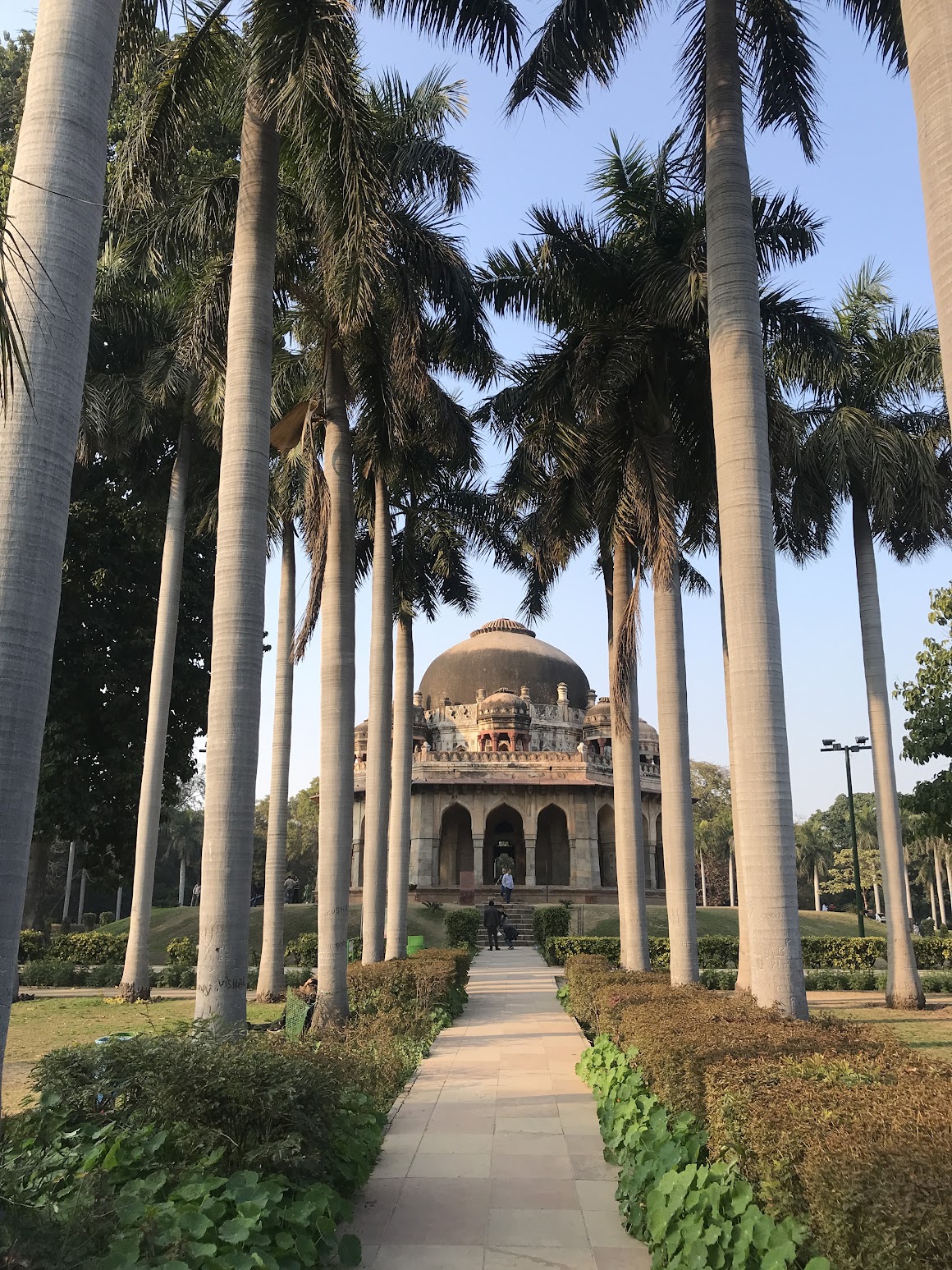 Impressions of Delhi (2020) — photo 15