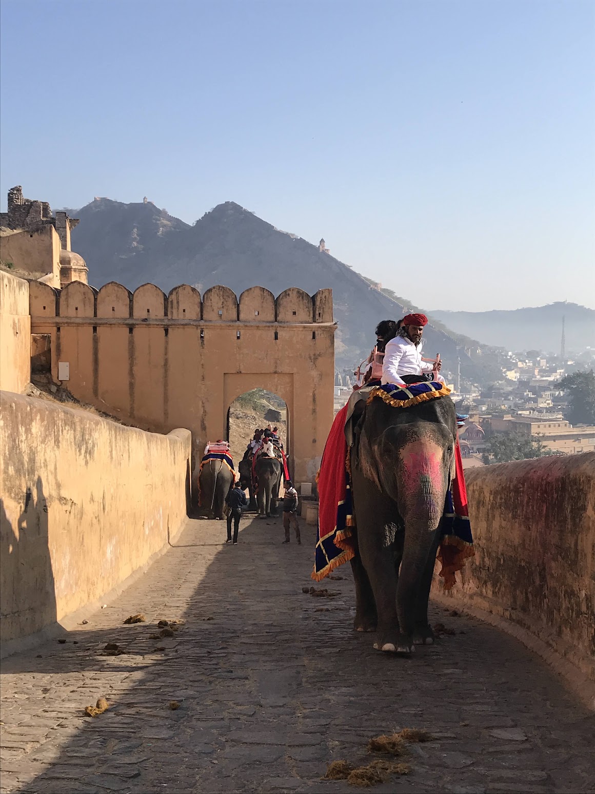 Elephant congestion, Rajasthan edition.
