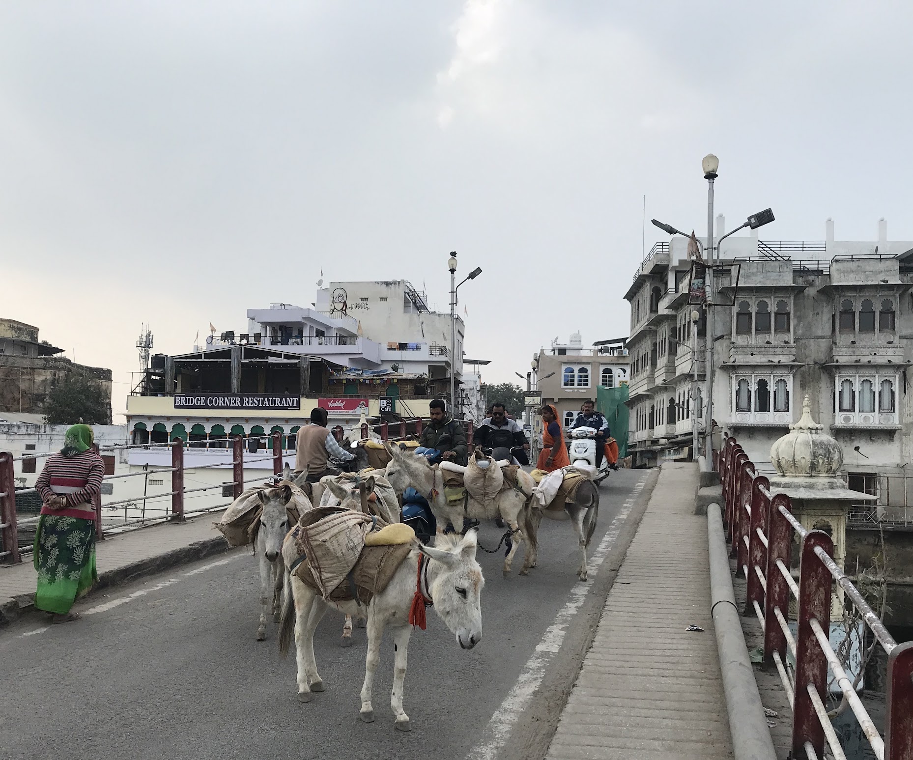 Udaipur (2020) — photo 6