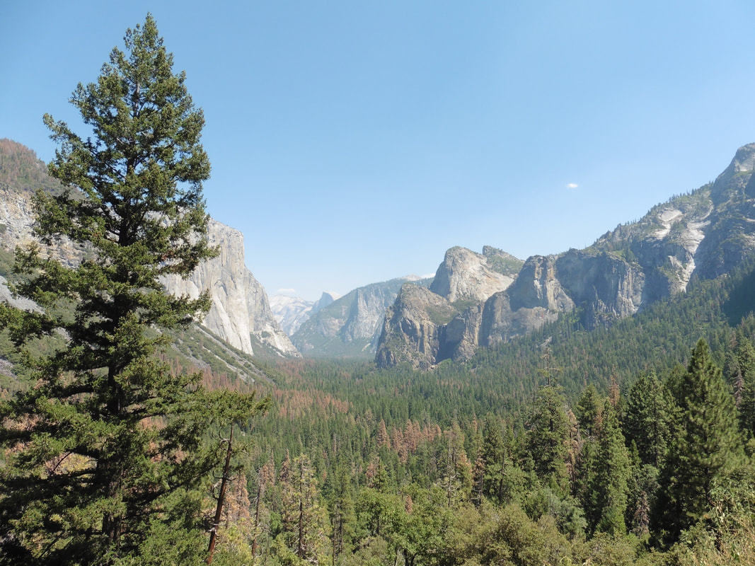 Yosemite National Park (2016) — photo 1